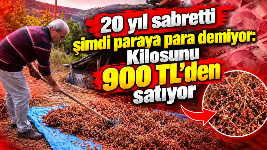 20-yil-sabretti-simdi-paraya-para-demiyor-kilosunu-900-tlden-satiyor-wKjxSQSF