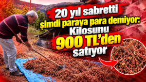 20-yil-sabretti-simdi-paraya-para-demiyor-kilosunu-900-tlden-satiyor-wKjxSQSF